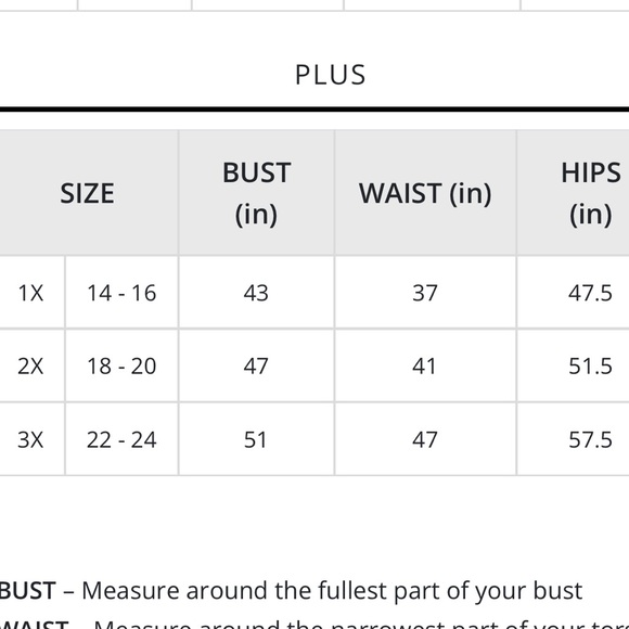 Democracy Plus Size "Ab"solution® Bermuda Stretch Denim Shorts - Picture 11 of 15